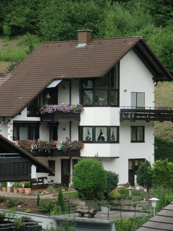 Ferienwohnung Uli Schaetzle 호른베르크 외부 사진